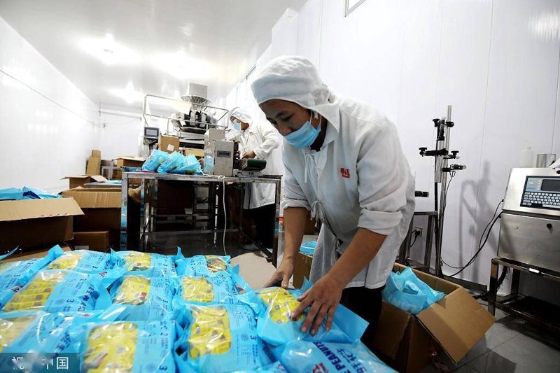 探索食品行业的最新趋势：东泽视角
